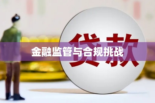 留坝金融监管与合规挑战