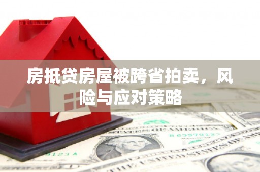 泰州房抵贷房屋被跨省拍卖，风险与应对策略