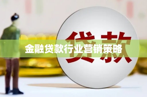 炉霍金融贷款行业营销策略