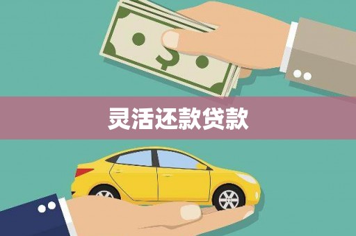 炉霍灵活还款贷款